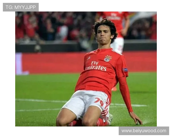 菲利克斯风格分析：技术细腻突破犀利，本赛季表现稳健值得关注