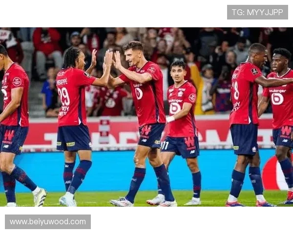 里尔球队结构解析：当前阵容框架与战术体系分析