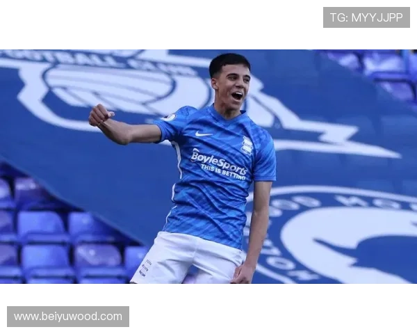 赫尔城足总杯八强